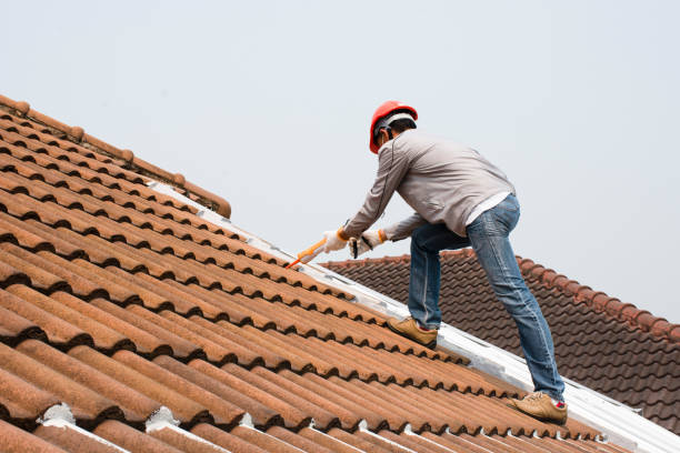 Best Green or Eco-Friendly Roofing Solutions  in Decatur, MI