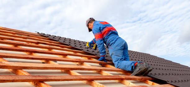 Best Roof Moss and Algae Removal  in Decatur, MI